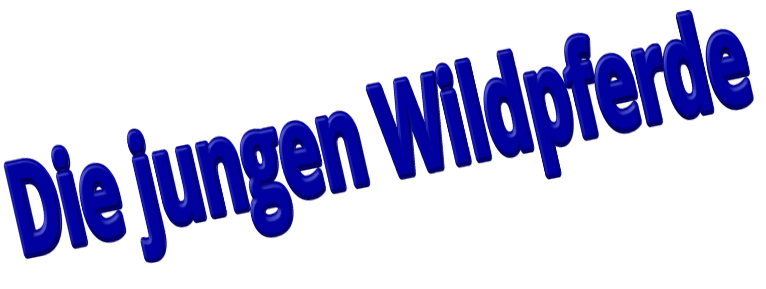 Die jungen Wildpferde
