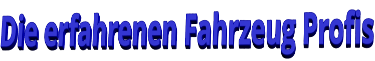 Die erfahrenen Fahrzeug Profis